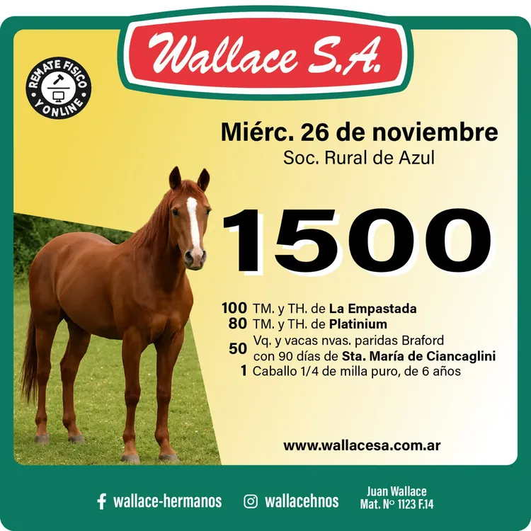 WhatsApp Image 2025-11-17 at 12.07.10 PM