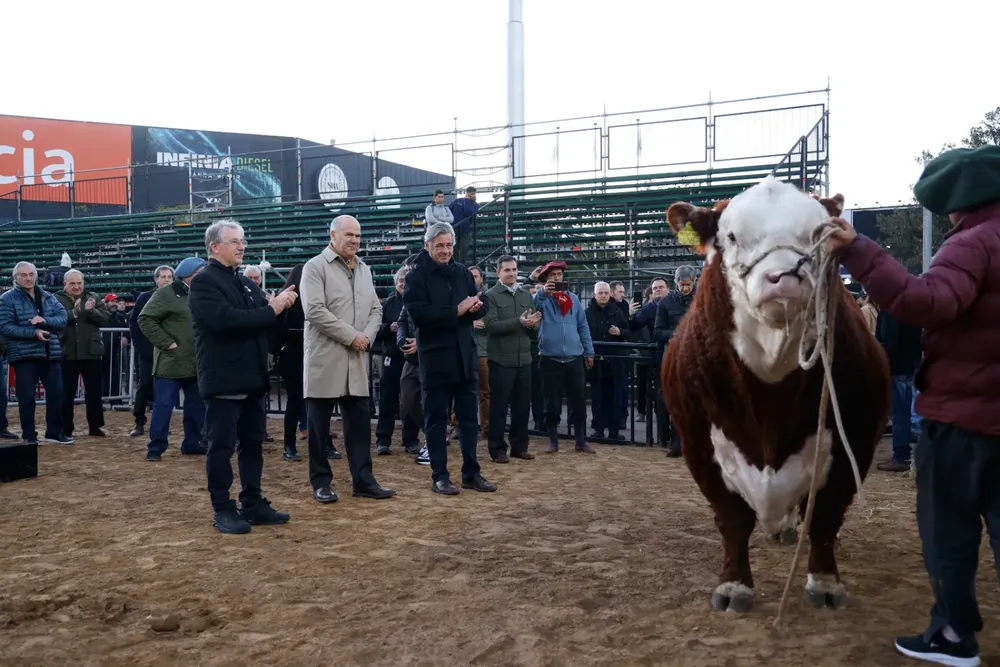 HEREFORD2