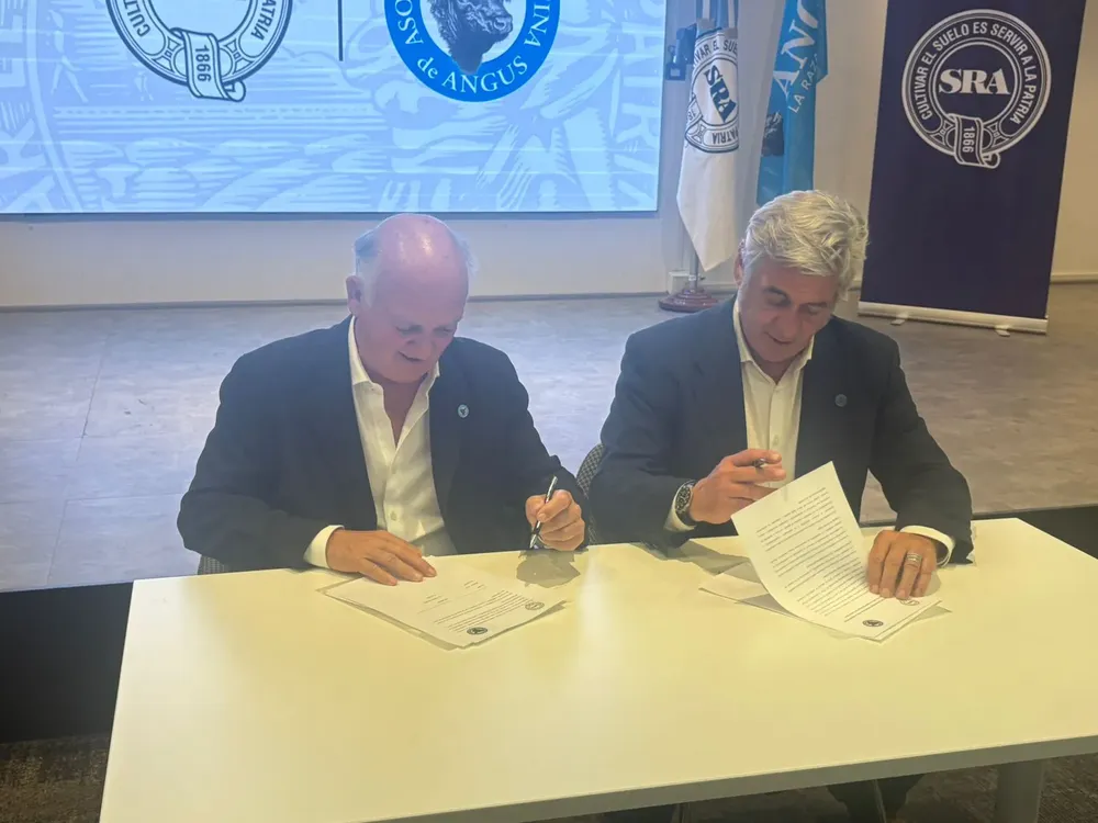 WhatsApp Image 2025-11-12 at 6.23.08 PM