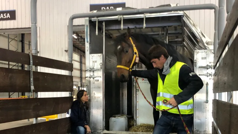 WhatsApp Image 2025-10-30 at 12.11.56 PM