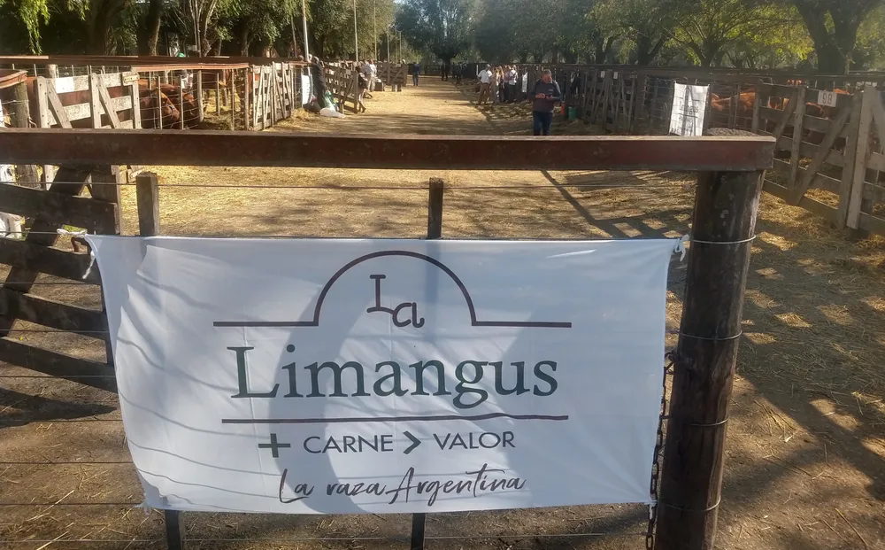 OTOÑO LIMANGUS 2023