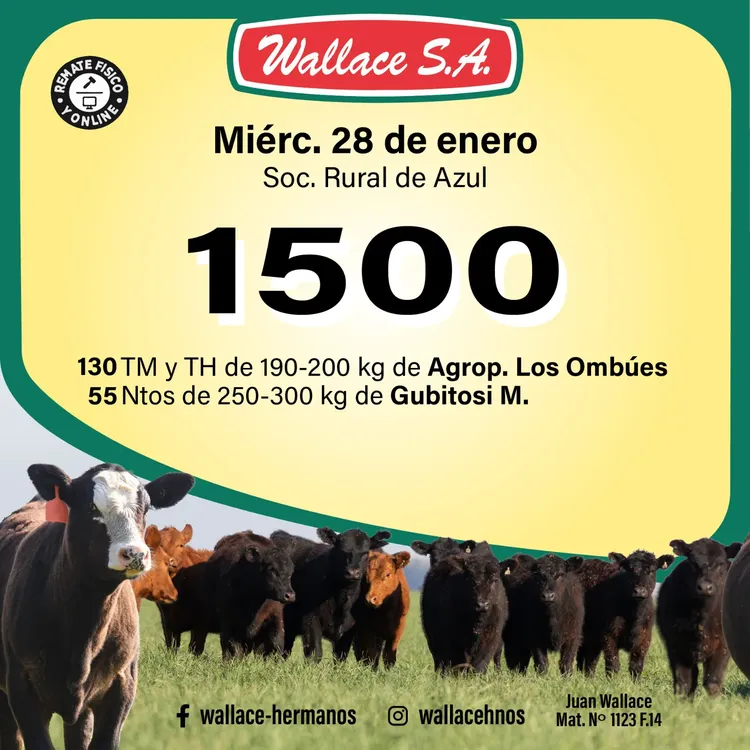 WhatsApp Image 2026-01-08 at 1.12.04 PM