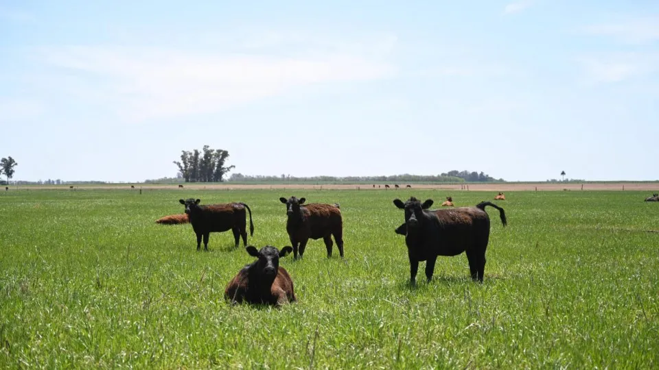 WhatsApp Image 2025-10-03 at 2.20.07 PM