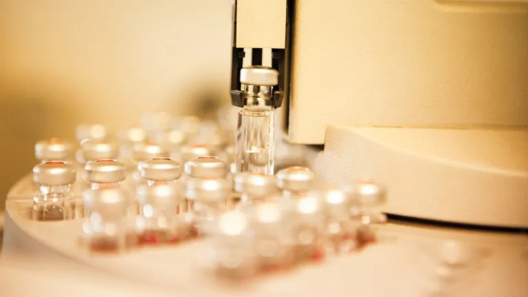 WhatsApp Image 2025-06-13 at 9.35.17 AM