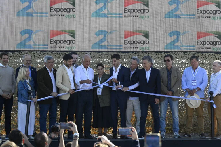 parrafo-14-1-768x511