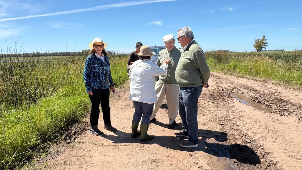 WhatsApp Image 2025-11-28 at 9.33.15 PM