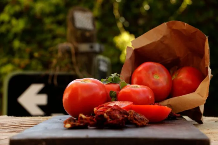 Tomate-Platense-696x464