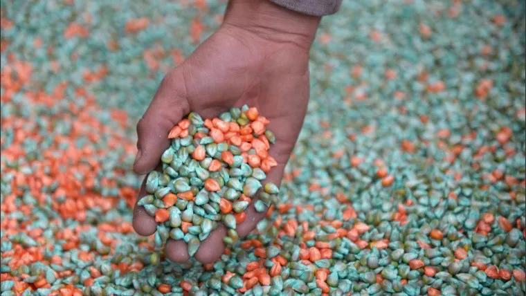 nutrientes_crop1695319426943