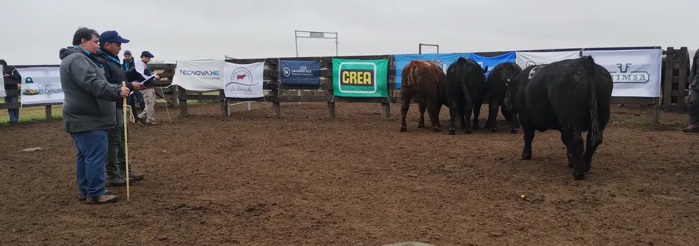 IMG_20240806_114524439