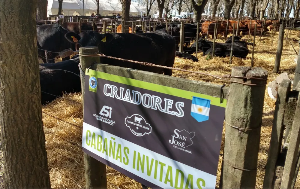 CRIADORES