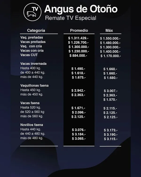 revivimos_mas_momentos_del_gran_remate_realizado_por_colombo_y_magliano_en_la_82deg_expo_angus_de_otono._tambien_compartimos_los_resultados_de_las_ventas.felicitaciones_a_los_productores_remitentes_compradores_