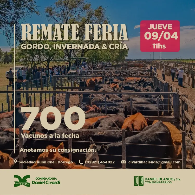 WhatsApp Image 2026-03-24 at 6.48.47 PM