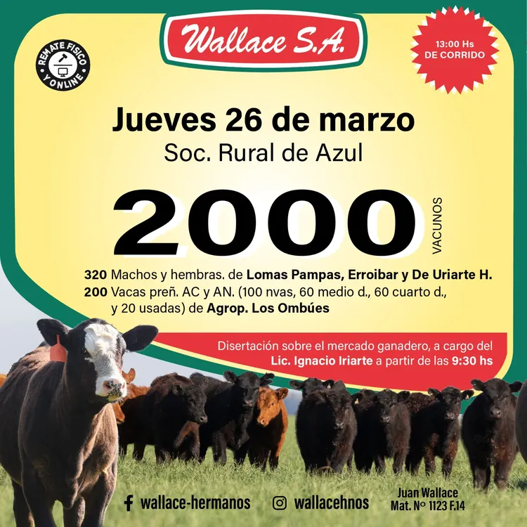 WhatsApp Image 2026-03-18 at 1.31.06 PM