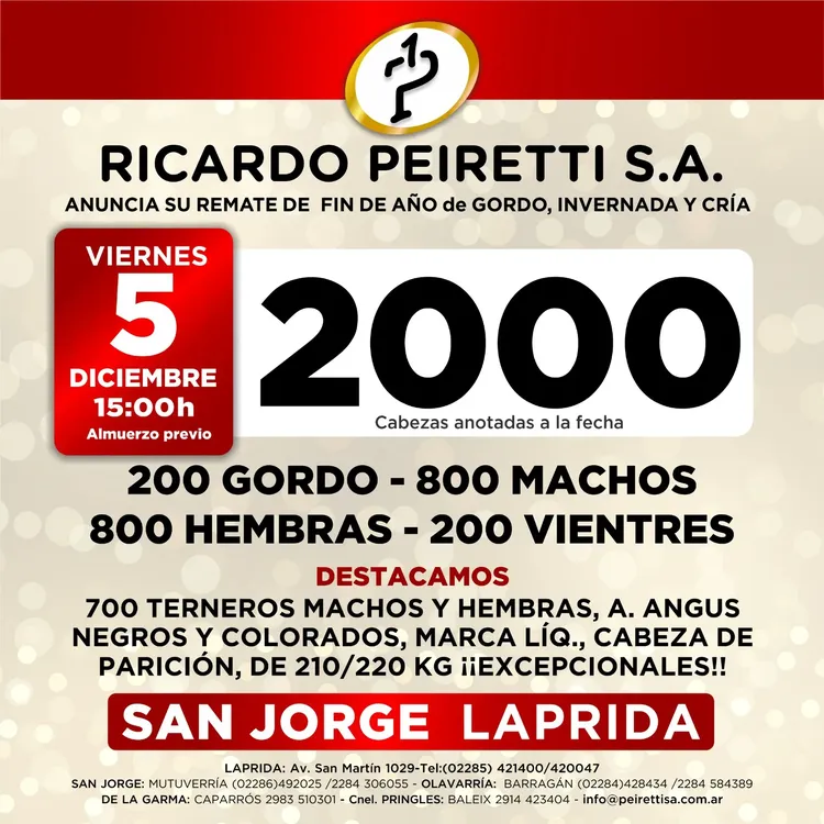 WhatsApp Image 2025-12-01 at 4.49.06 PM