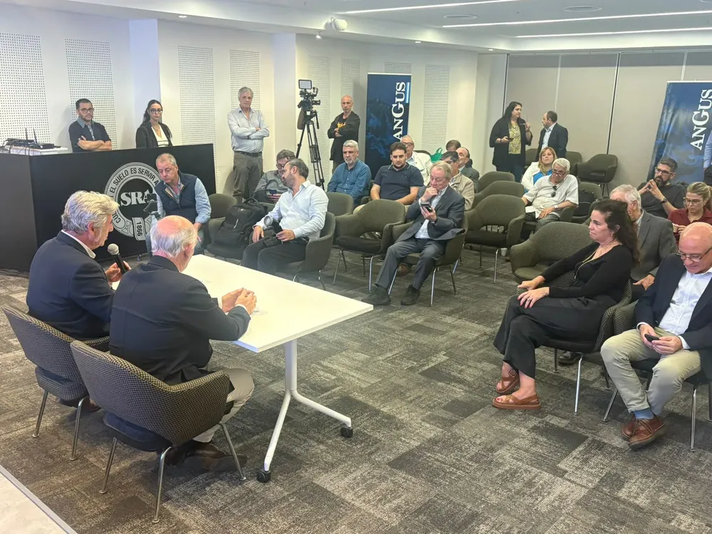 WhatsApp Image 2025-11-12 at 6.23.09 PM