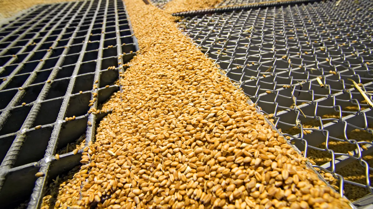 cereal k group Foto KROHNE Group