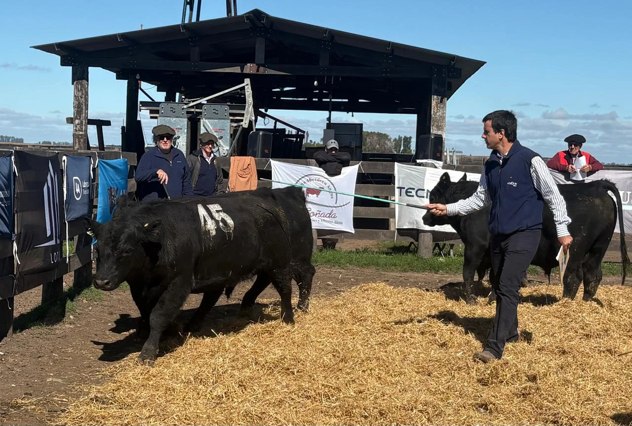 IGNACIO CABO - PRUEBA PASTORIL 2026