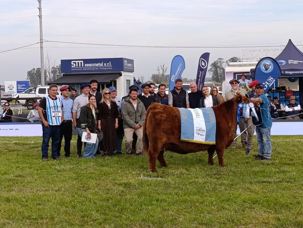CABAÑA DON ROMEO - GRAN CAMPEON HEMBRA - SEMANA ANGUS DE PRIMAVERA