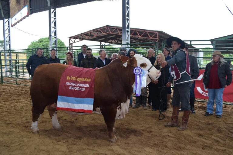 Res.-Gran-Campeon-Macho-Cabana-El-Gaucho-768x513