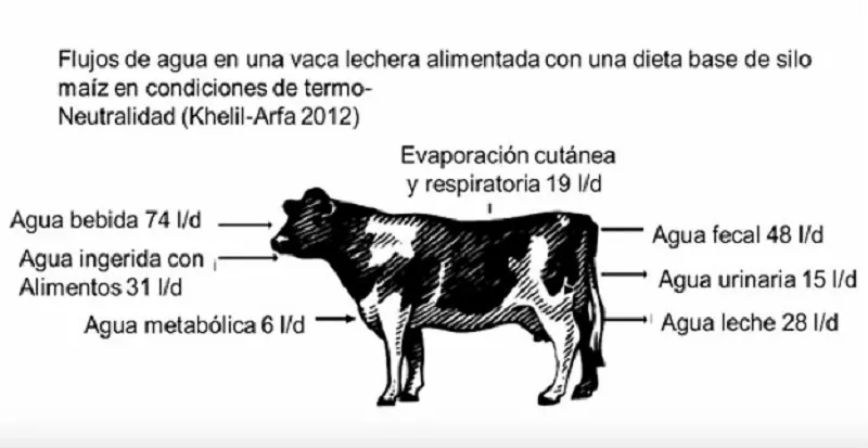 BPA-Inta-Tambero2