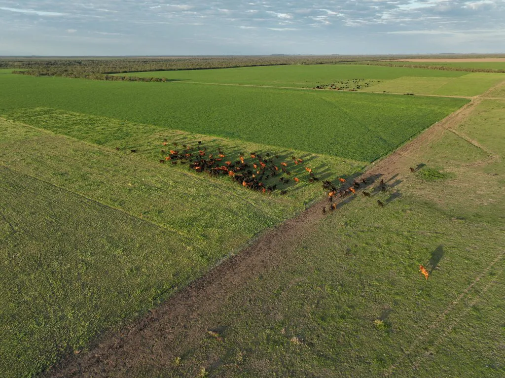DJI_0322-2-1024x767