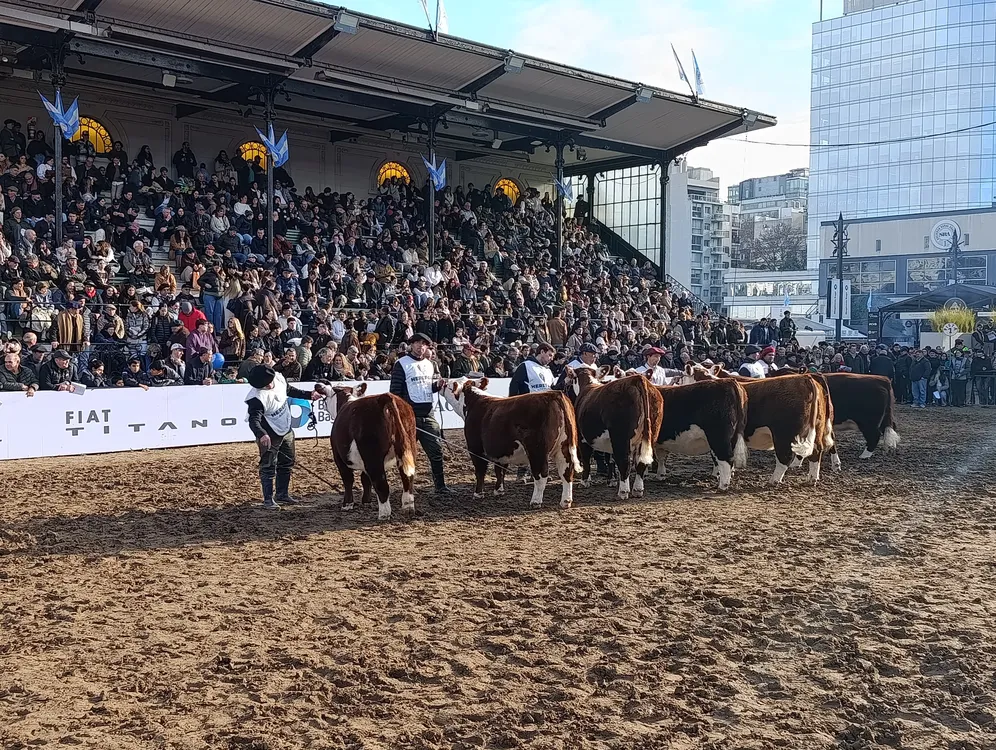 JURA HEREFORD