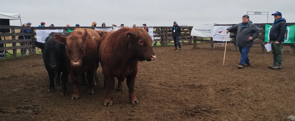 IMG_20240806_114803999