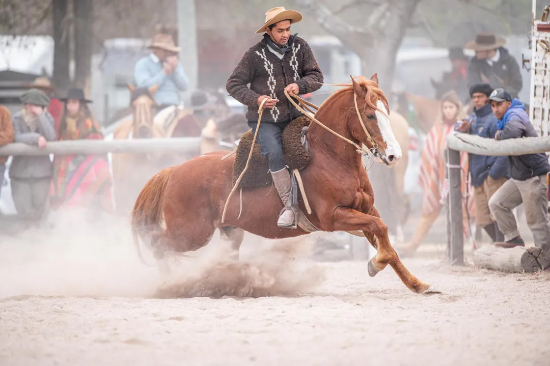 4-CABALLOS-para-la-gacetilla-en-el-medio