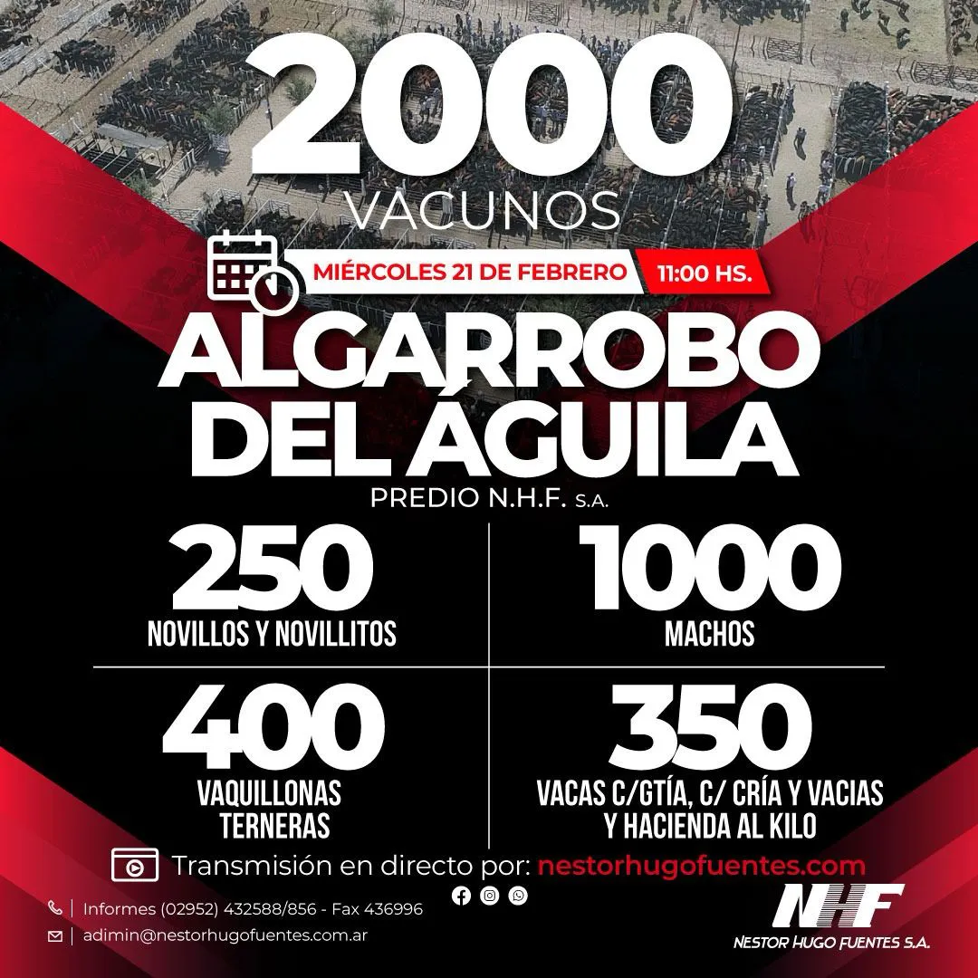 NHF3