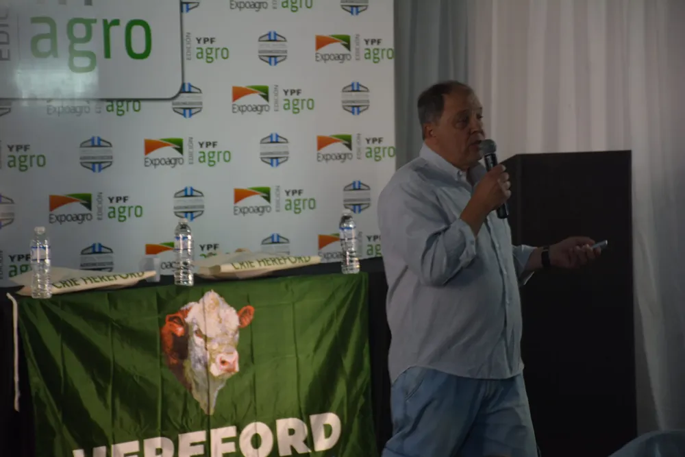 Hereford-Recavarren-del-INTA-scaled