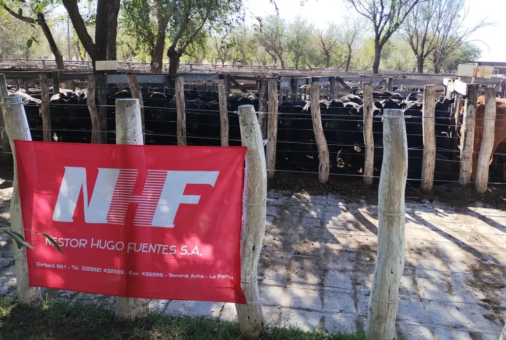 NHF HERRADURA