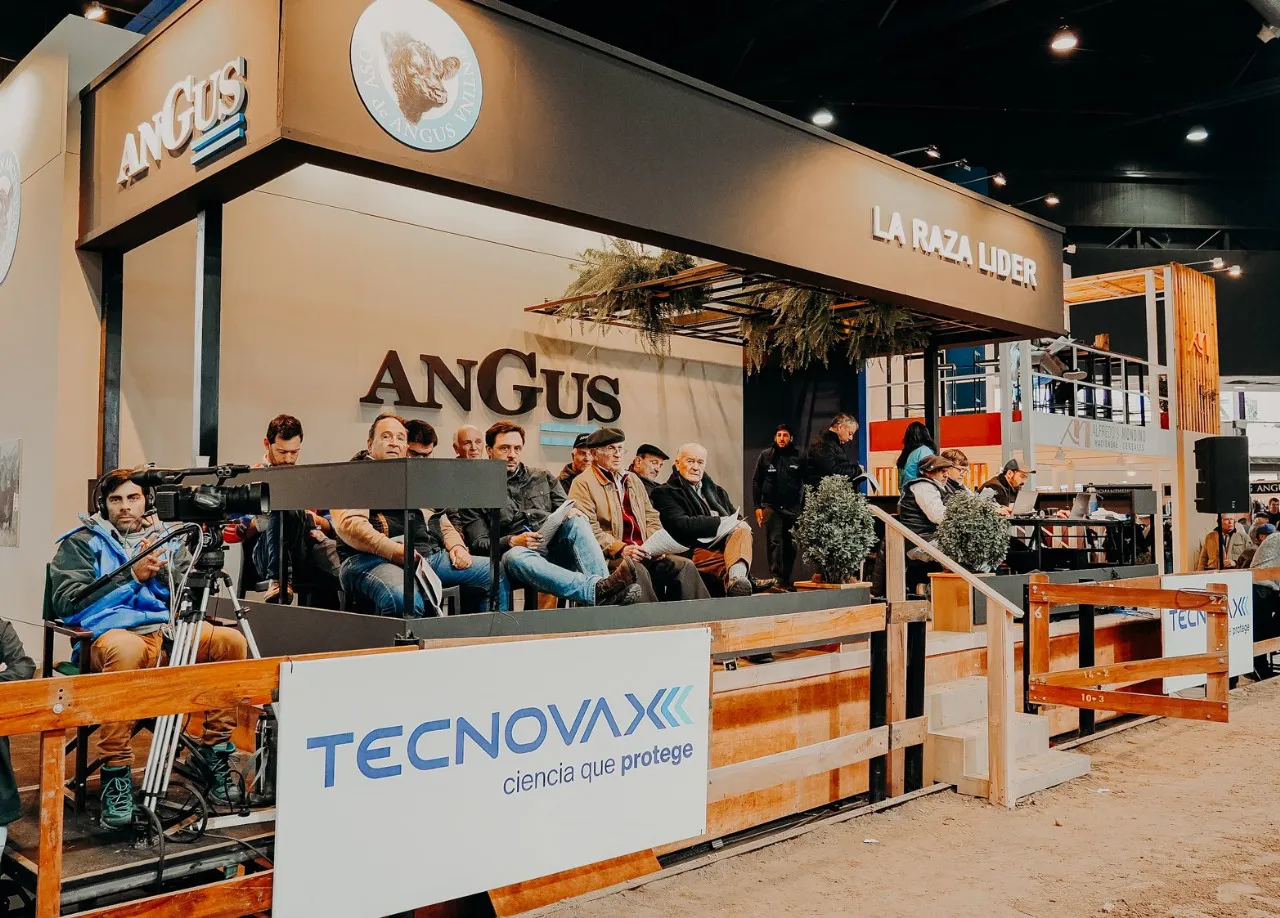 WhatsApp Image 2025-05-17 at 5.53.08 PM