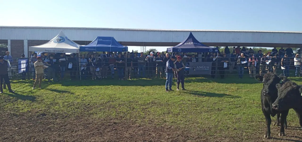 WhatsApp Image 2025-04-19 at 2.00.53 PM (1)