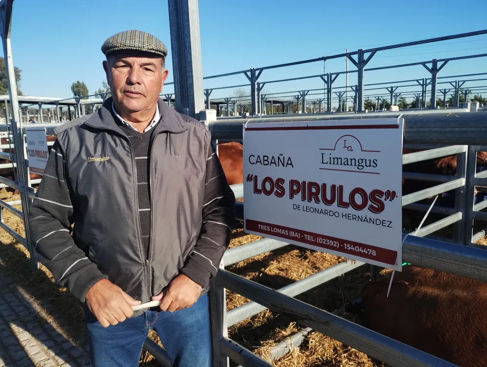 LEONARDO HERNANDEZ - LOS PIRULOS