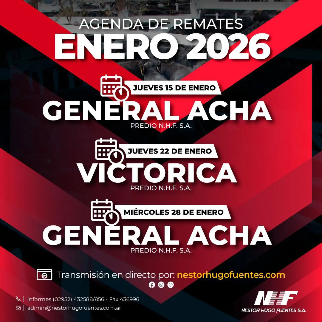 WhatsApp Image 2025-11-25 at 10.59.47 AM