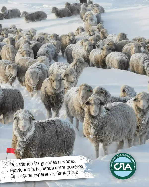 448720854_896573452510458_133275037976966556_n