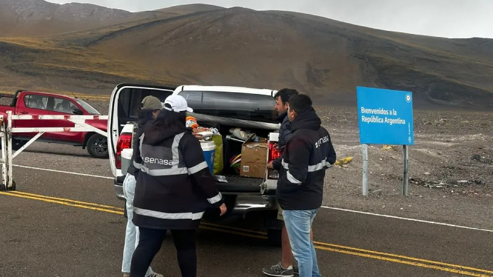 WhatsApp Image 2025-07-14 at 10.54.52 AM