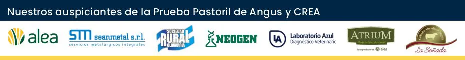 banners auspiciantes 2° Prueba Pastoril 3
