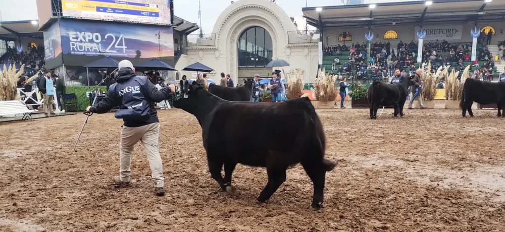 MARIANO CASTRO - LA RESERVA