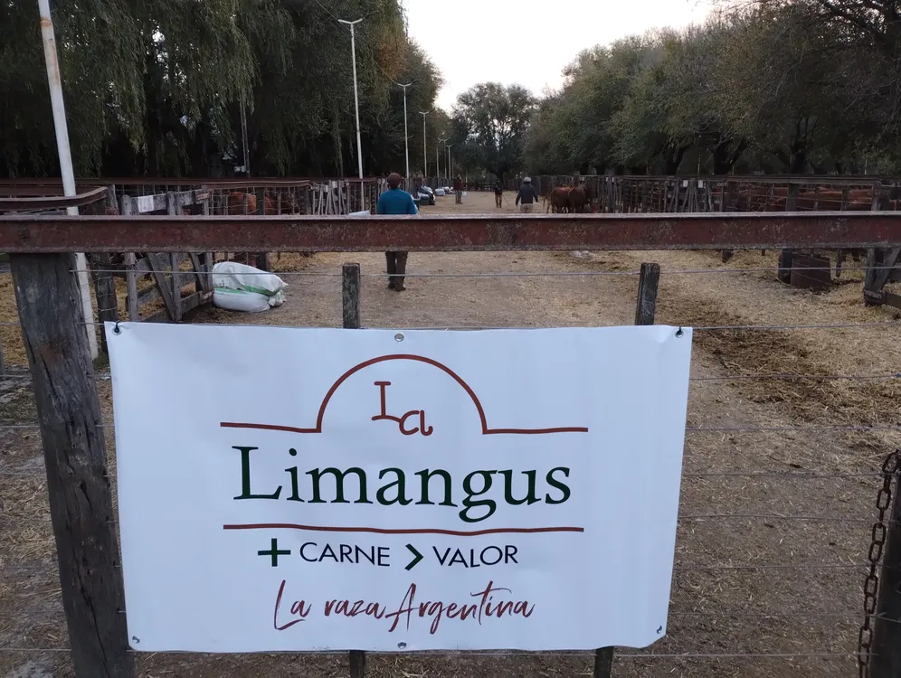 IMG_20240501_181133343