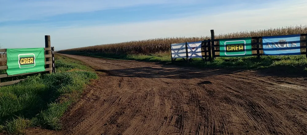 IMG_20240611_094343618_HDR