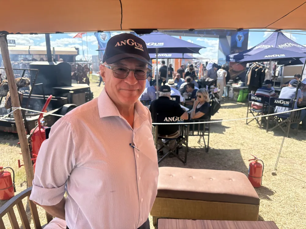 AMADEO DERITO - ANGUS