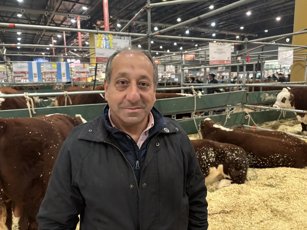 JUAN SELEME - CABAÑA SAN MARON - HEREFORD