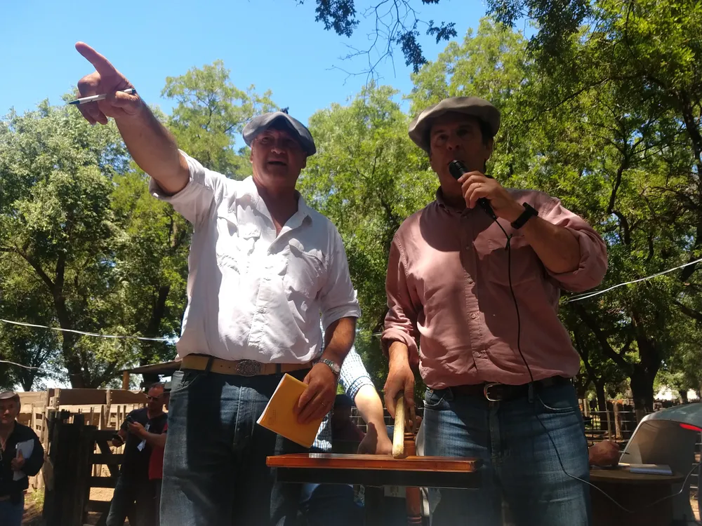 IMG_20231213_115001973