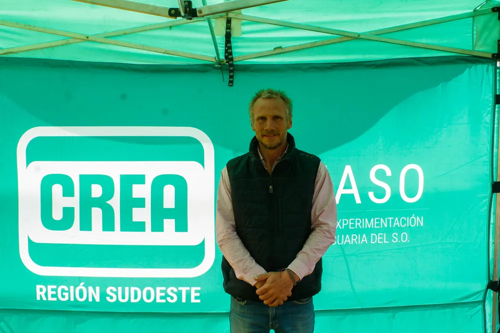 BERNARDO LAULHÉ - CREA