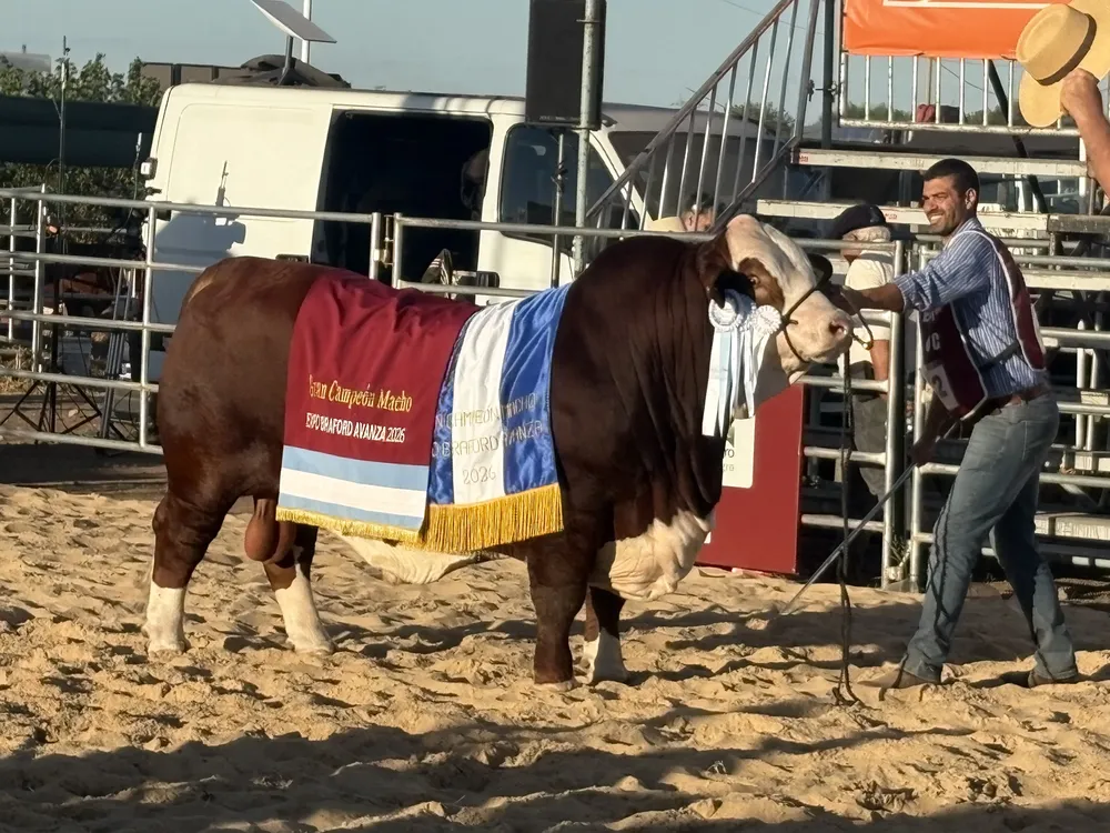 JURA BRAFORD - EXPOAGRO