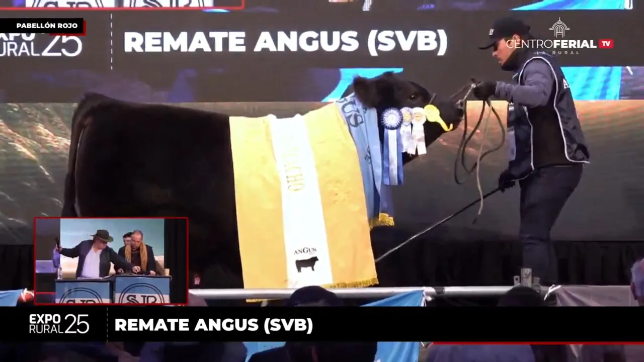 WhatsApp Image 2025-07-26 at 7.42.32 PM