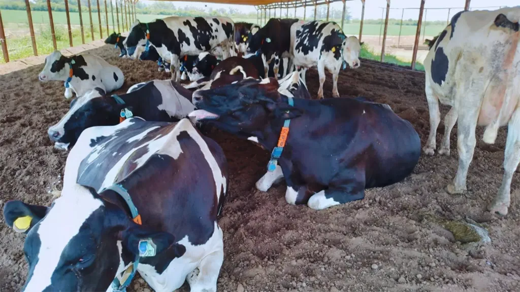 Captura-de-pantalla-2026-01-07-100030