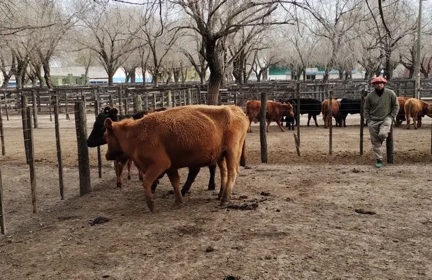 tn_IMG_20240718_160321369