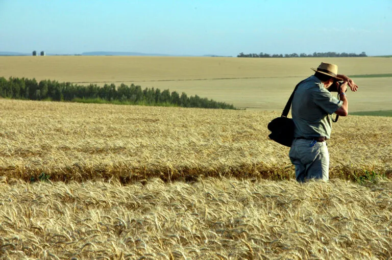 Norberto-Melone-2-Bichos-de-campo-768x510
